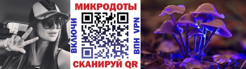 Псилоцибиновые грибы Psilocybe  Советск 
